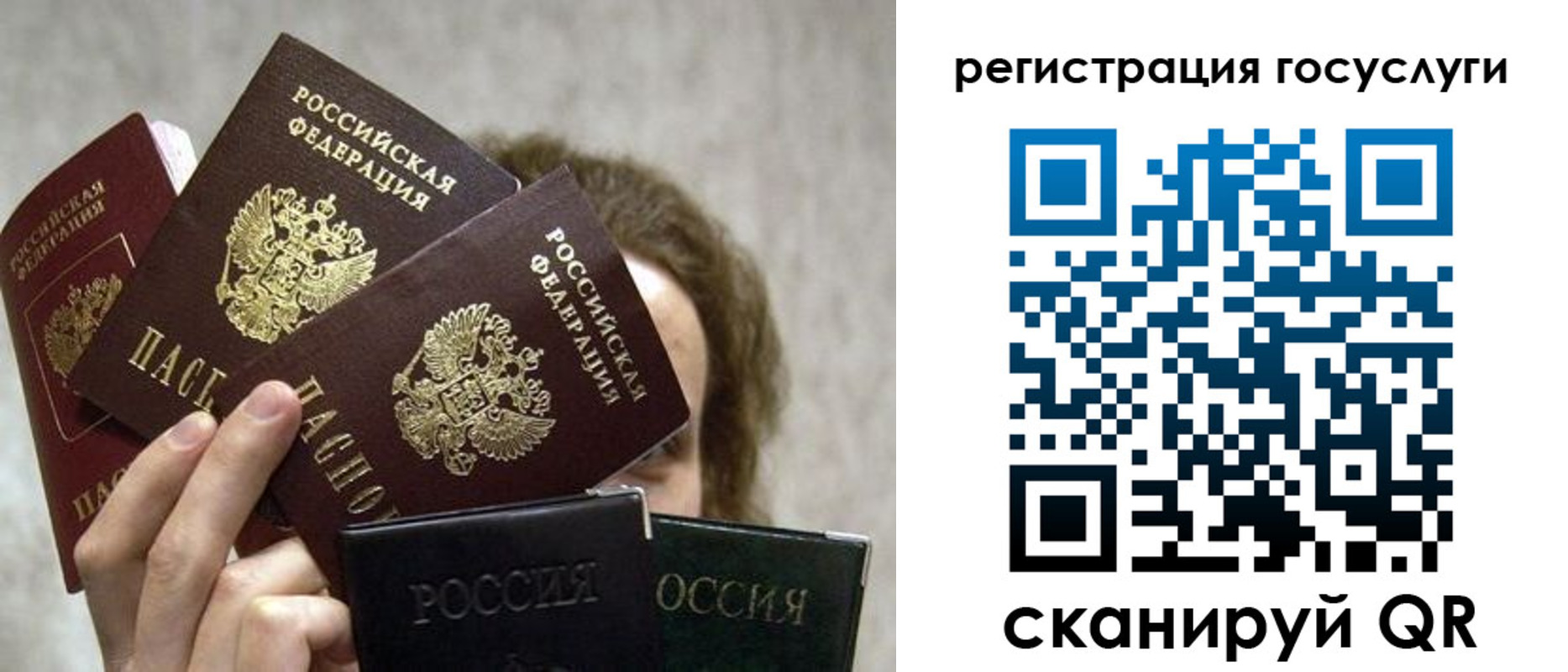 временная регистрация поиск в Старой Купавне